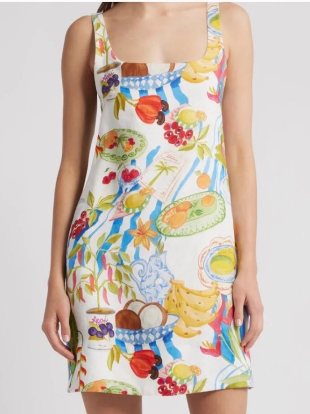 NWT Off-White Fresh Table Euroflax™ Premium Linen Mini Dress Color